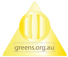 Load image into Gallery viewer, Greens Triangle Lapel Pin